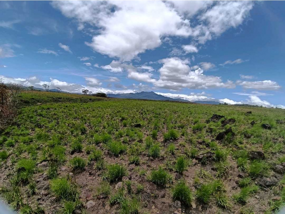VENDO TERRENO DE 1HA EN ALTO BQT - 3