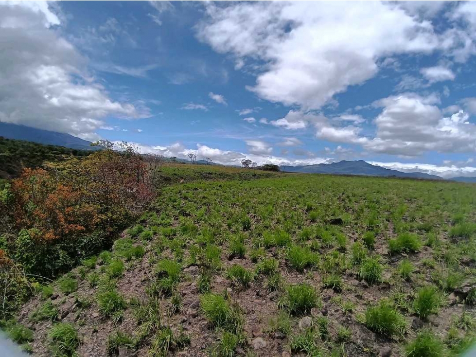 VENDO TERRENO DE 1HA EN ALTO BQT - 4