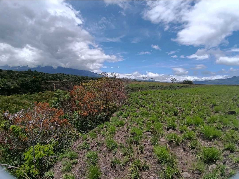 VENDO TERRENO DE 1HA EN ALTO BQT - 5