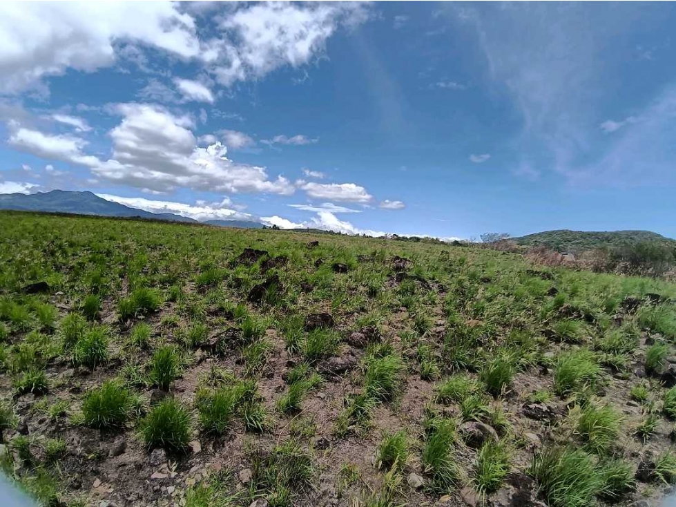 VENDO TERRENO DE 1HA EN ALTO BQT - 6