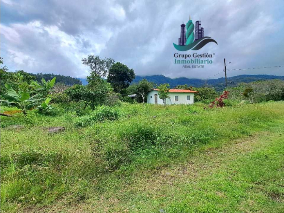 VENDO TERRENO DE 1HECTAREA + EN BAJO BOQUETE - 2