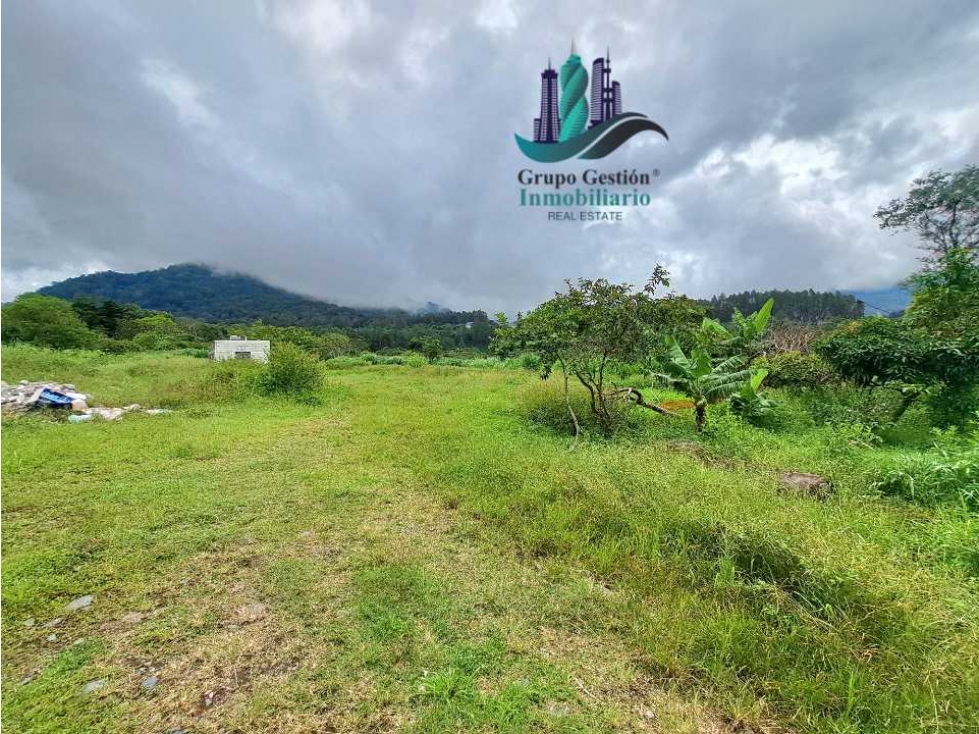 VENDO TERRENO DE 1HECTAREA + EN BAJO BOQUETE - 4
