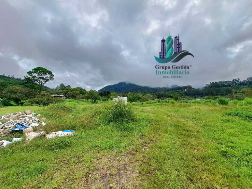 VENDO TERRENO DE 1HECTAREA + EN BAJO BOQUETE - 6