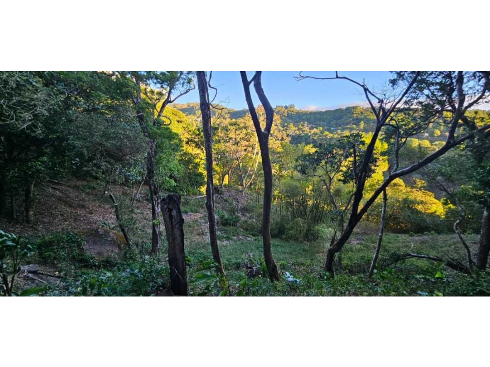 VENDO TERRENO DE 2000 METROS BOQUETE PALMIRA - 3