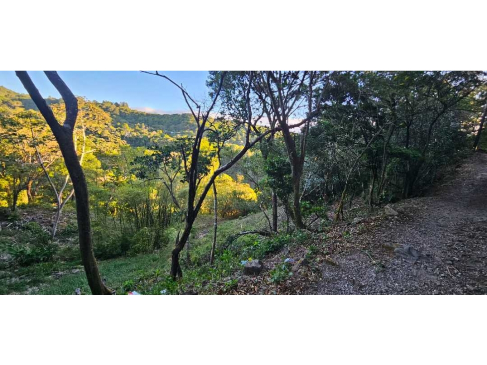 VENDO TERRENO DE 2000 METROS BOQUETE PALMIRA - 5