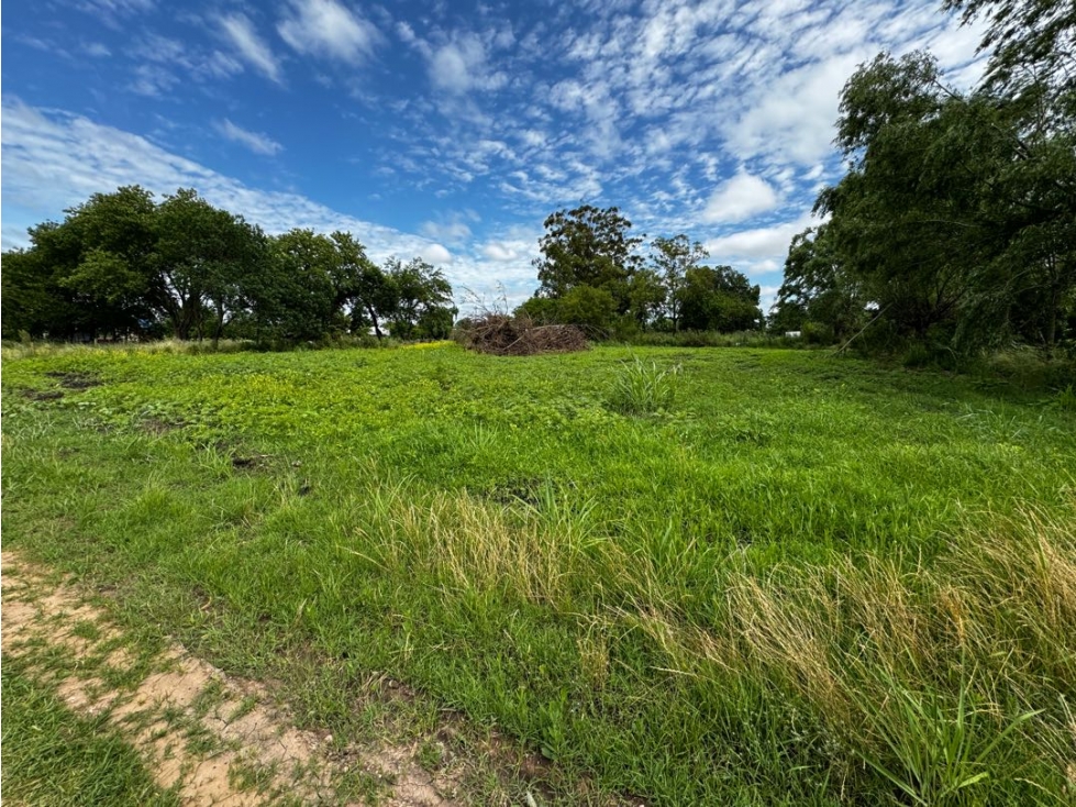 Vendo Terreno de 2.228 M2 en Herrera, Entre Ríos. - 6