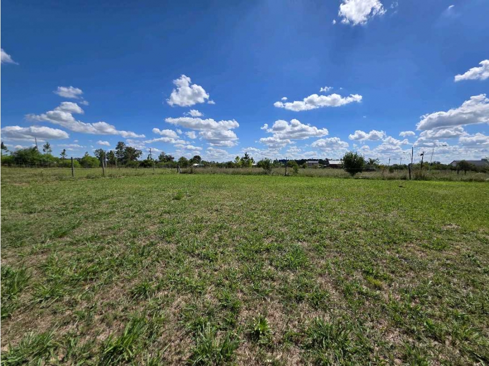 Vendo Terreno de 1000 m2 en Concepción del Uruguay, Entre Ríos. - 6