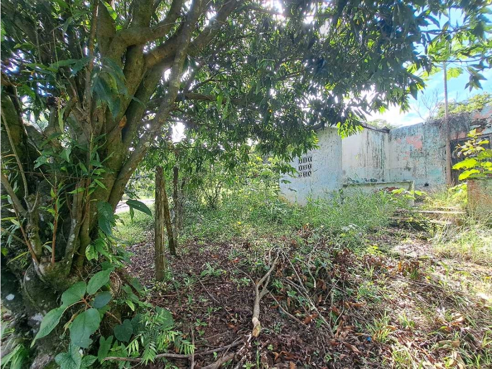 VENDO LOTE EN DERECHO POSESORIO DE 2300M2 SAN JUAN - 4