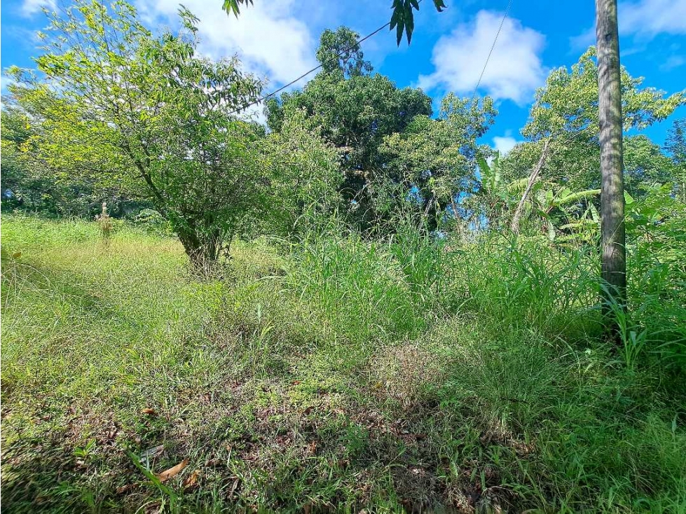 VENDO LOTE EN DERECHO POSESORIO DE 2300M2 SAN JUAN - 5