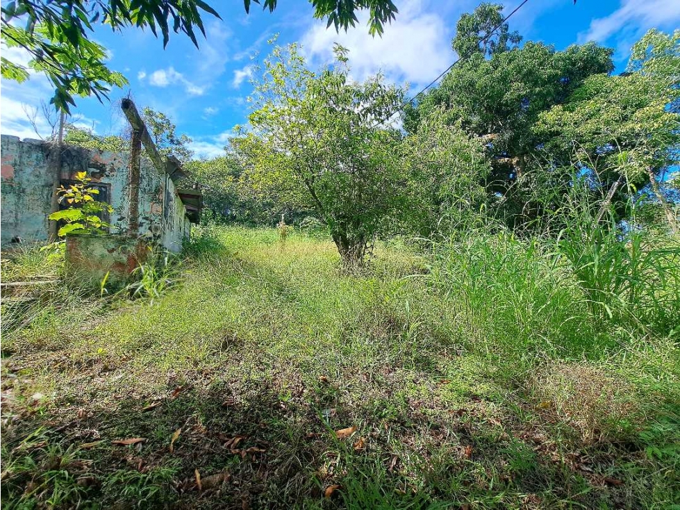 VENDO LOTE EN DERECHO POSESORIO DE 2300M2 SAN JUAN - 6