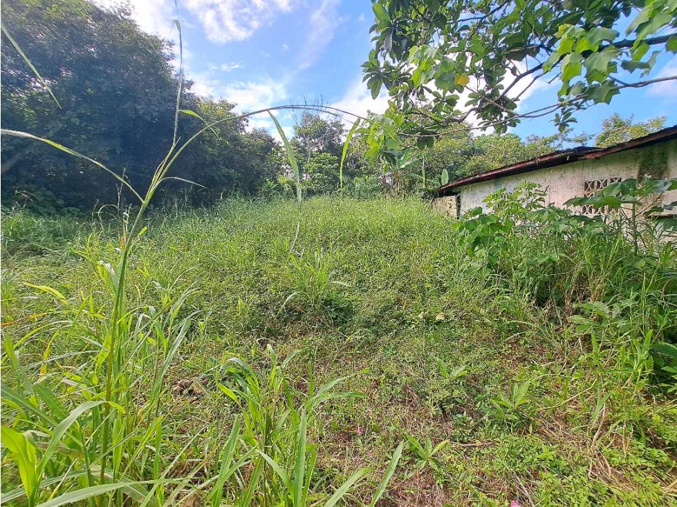 VENDO LOTE EN DERECHO POSESORIO DE 2300M2 SAN JUAN - 2