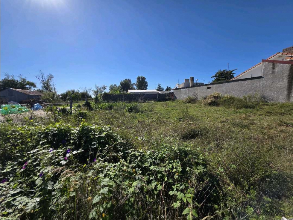 Vendo Terreno de 400 en Herrera, Entre Ríos. - 5