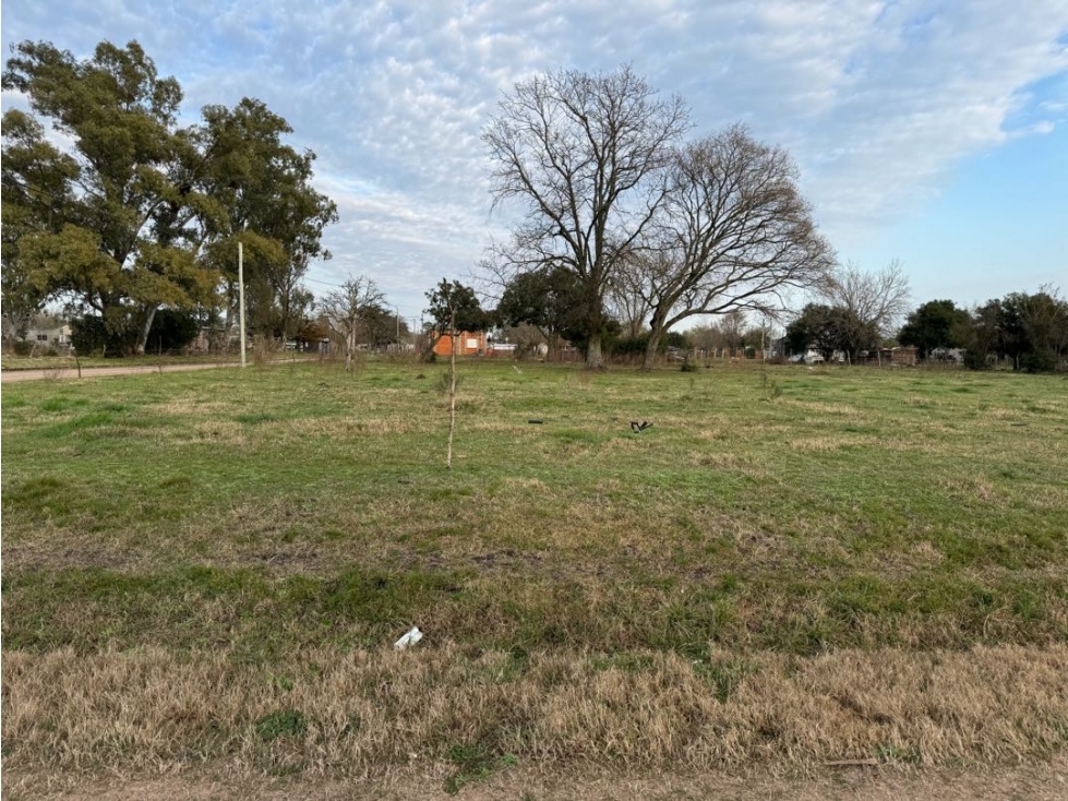 Vendo Terreno de 2.000 m2 en Villa Mantero, Entre Ríos. - 5