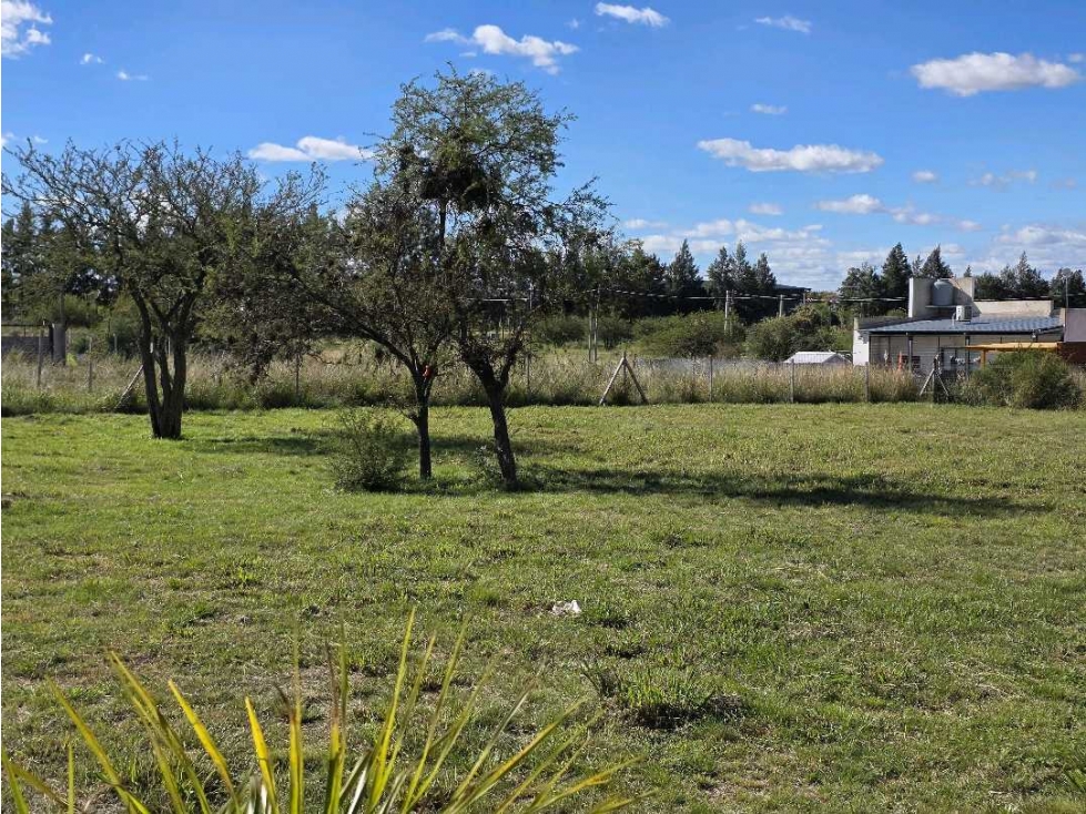 Vendo Terreno de 503 m2 en Concepción del Uruguay Entre Ríos - 2