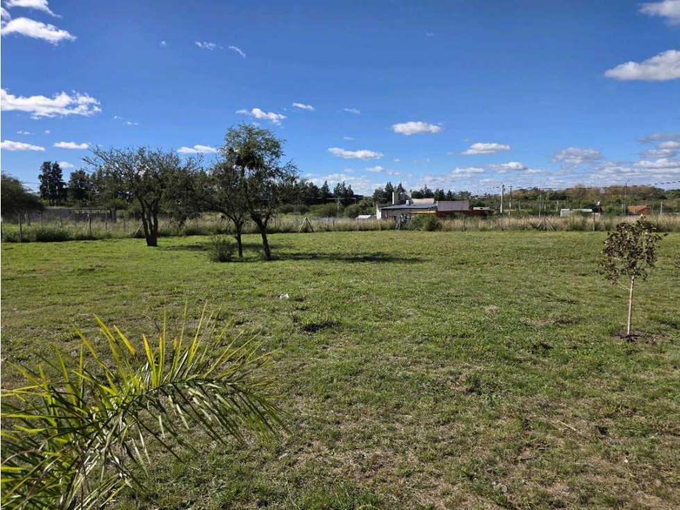 Vendo Terreno de 503 m2 en Concepción del Uruguay Entre Ríos - 3