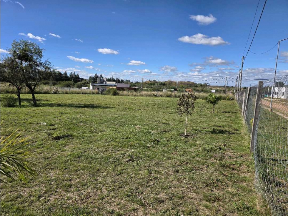 Vendo Terreno de 503 m2 en Concepción del Uruguay Entre Ríos - 4