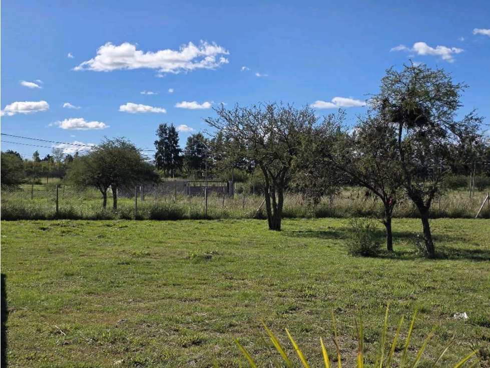Vendo Terreno de 503 m2 en Concepción del Uruguay Entre Ríos - 5