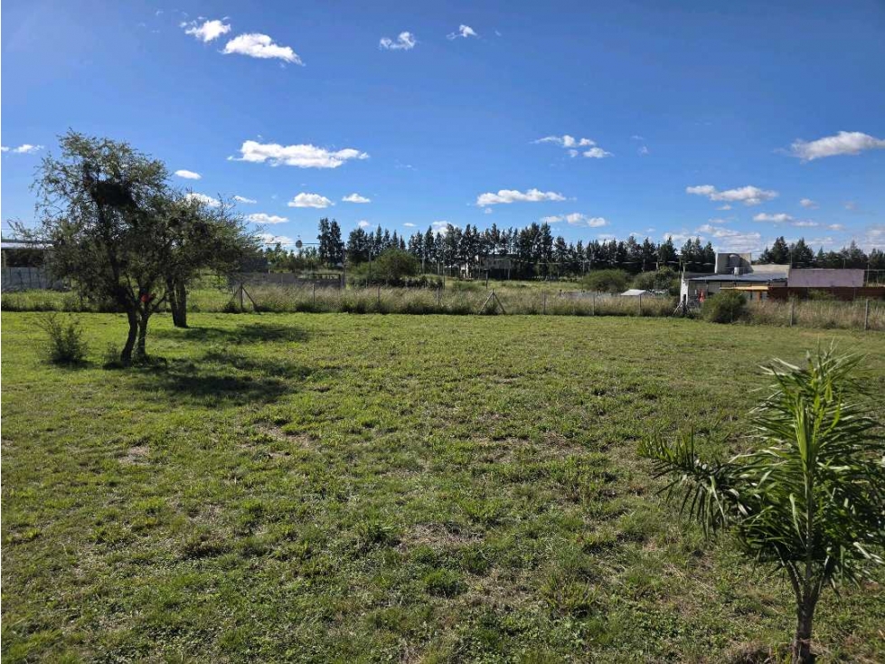 Vendo Terreno de 503 m2 en Concepción del Uruguay Entre Ríos - 6