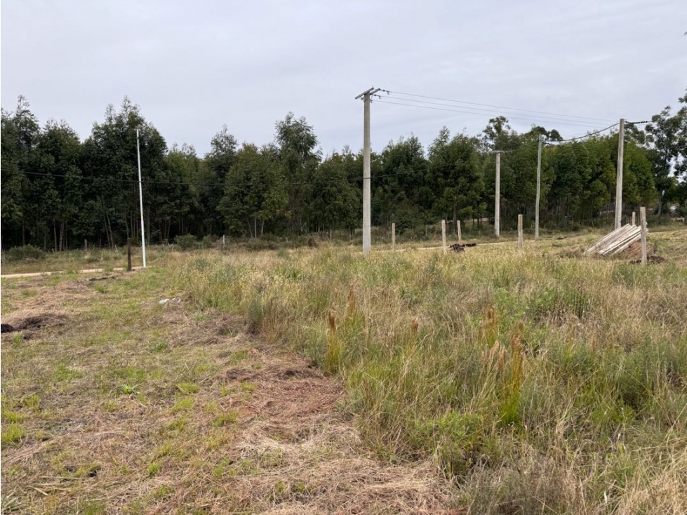 Vendo Terreno de 435 m2 en San Justo, Entre Ríos. - 4