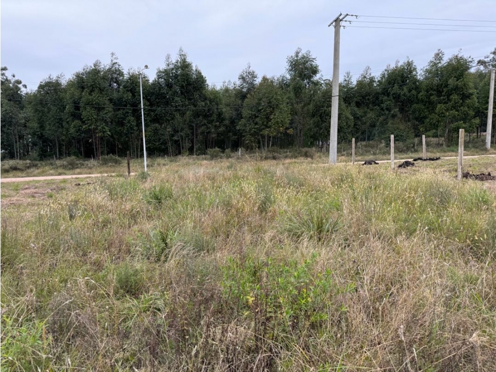 Vendo Terreno de 435 m2 en San Justo, Entre Ríos. - 6