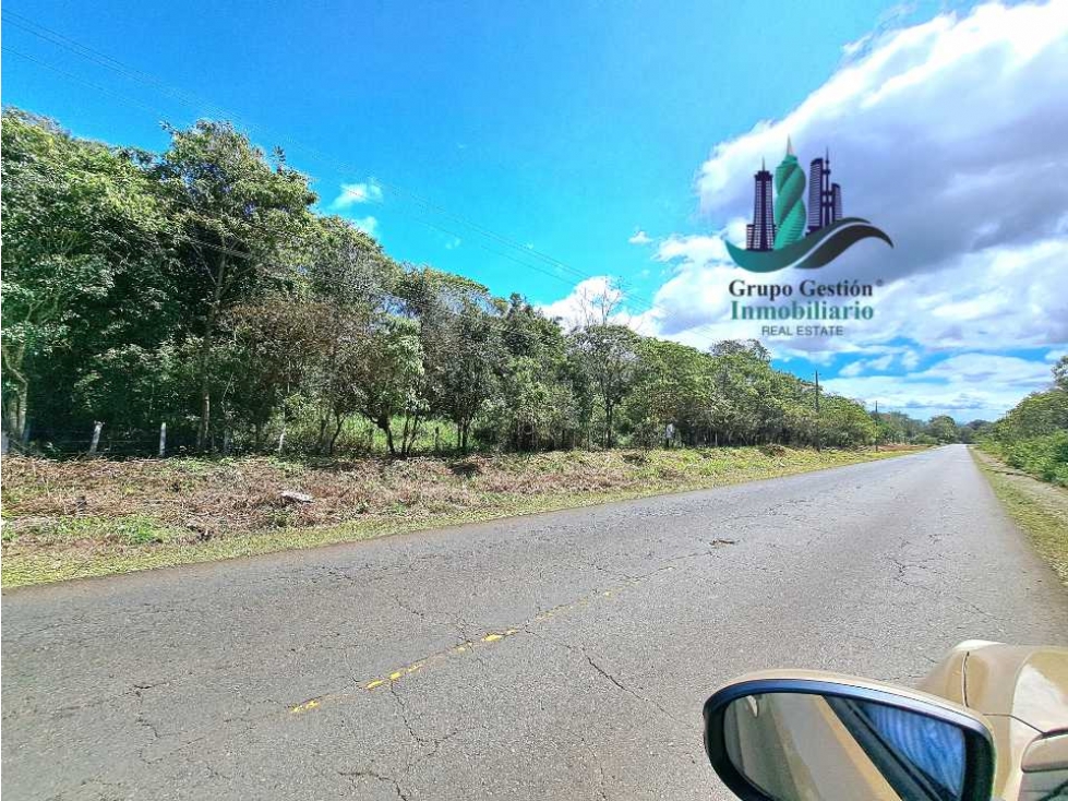 VENDO TERRENO DE 43893MTS VIA PRINCIPAL POTRERILLOS - 2