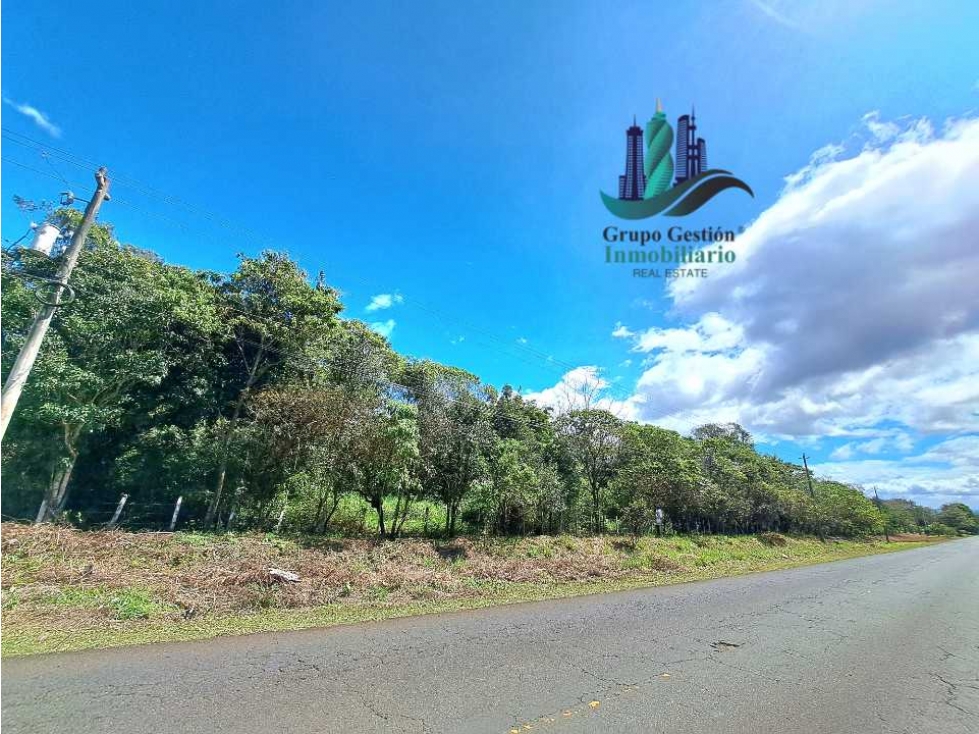 VENDO TERRENO DE 43893MTS VIA PRINCIPAL POTRERILLOS - 3