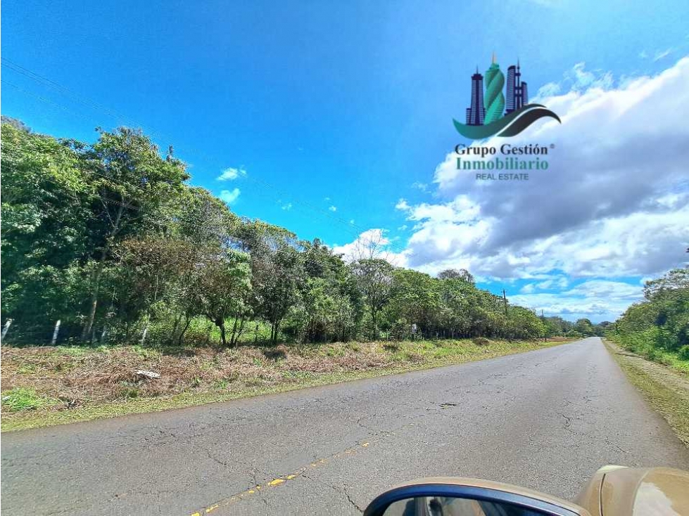 VENDO TERRENO DE 43893MTS VIA PRINCIPAL POTRERILLOS - 4