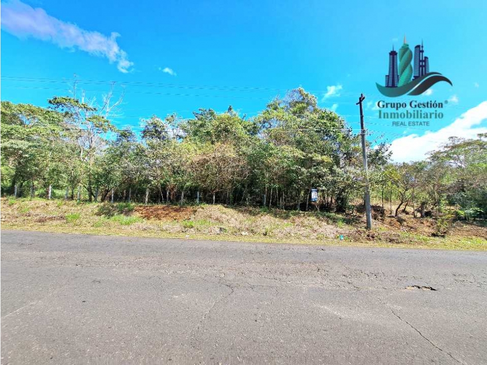 VENDO TERRENO DE 43893MTS VIA PRINCIPAL POTRERILLOS - 5