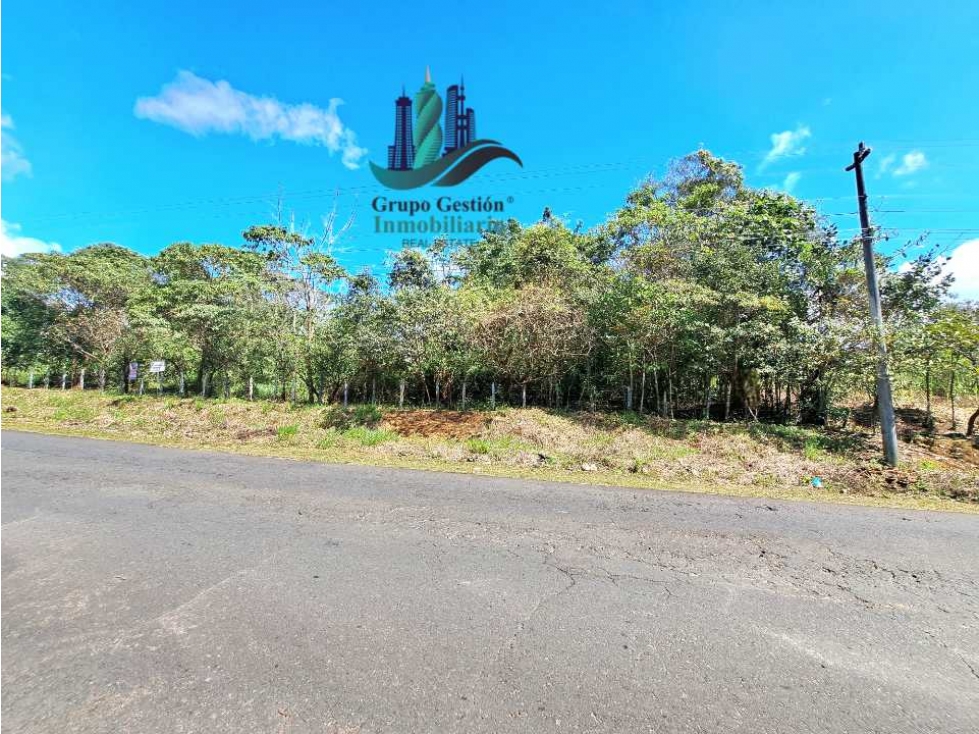 VENDO TERRENO DE 43893MTS VIA PRINCIPAL POTRERILLOS - 6