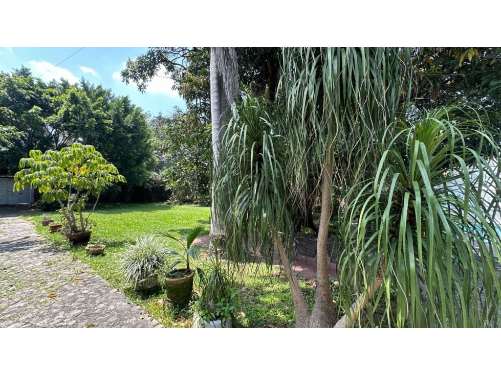 Vendo terreno de 492 m2 en lomas de Cuernavaca - 4