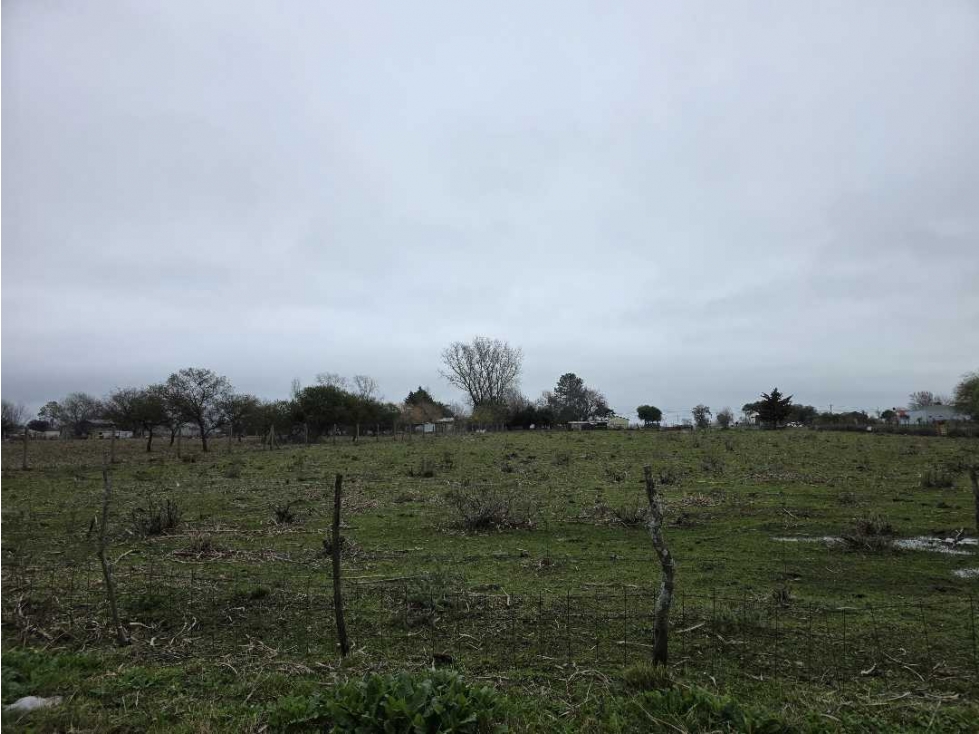 Vendo Terreno de 5.000 m2. en Herrera, Entre Ríos. - 2