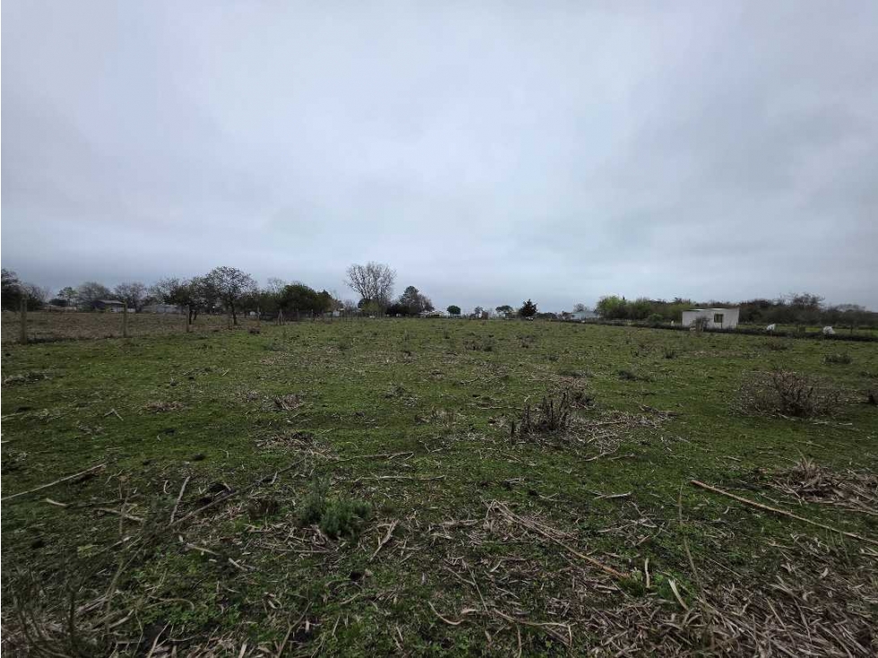 Vendo Terreno de 5.000 m2. en Herrera, Entre Ríos. - 4