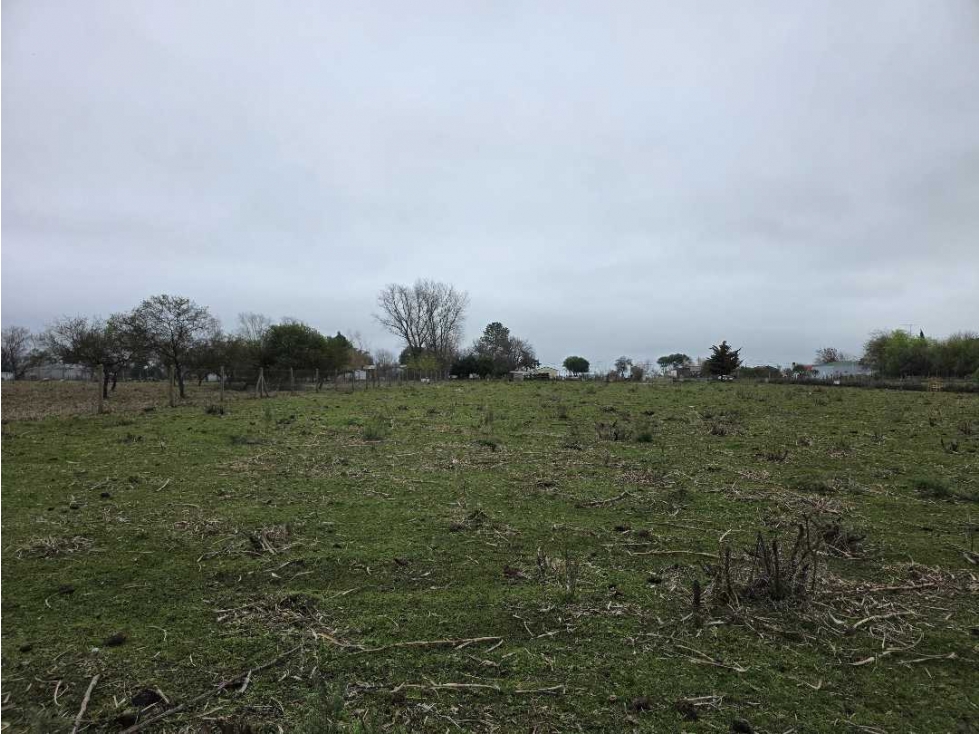 Vendo Terreno de 5.000 m2. en Herrera, Entre Ríos. - 5