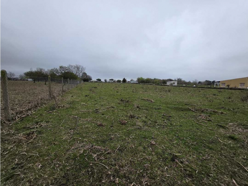 Vendo Terreno de 5.000 m2. en Herrera, Entre Ríos. - 6