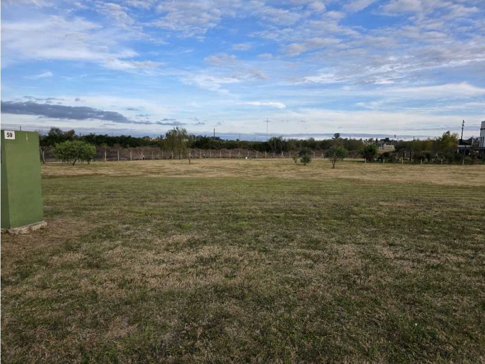 Vendo Terreno de 593 m2 en Las Acacias Concepción del Uruguay E R - 3