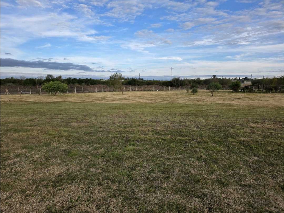 Vendo Terreno de 593 m2 en Las Acacias Concepción del Uruguay E R - 4