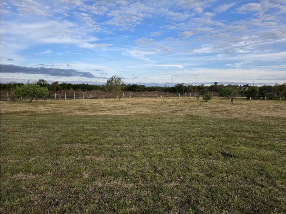 Vendo Terreno de 593 m2 en Las Acacias Concepción del Uruguay E R - 6