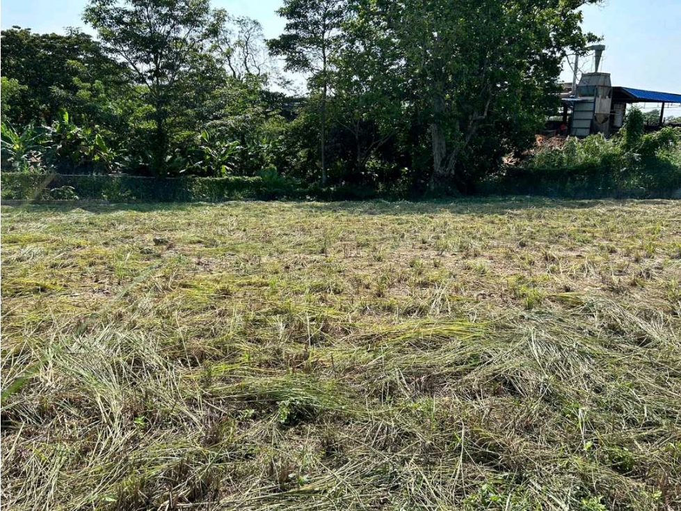 VENDO TERRENO DE 636 M2 EN LAS GARZAS PASO BLANCO - 3