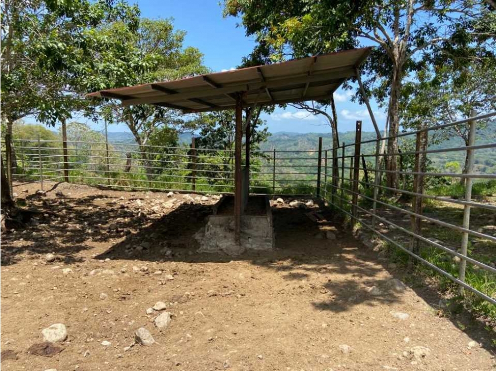 VENDO TERRENO DE 63 HECTAREAS PUERTO ARMUELLES - 3
