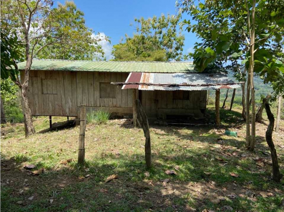 VENDO TERRENO DE 63 HECTAREAS PUERTO ARMUELLES - 2