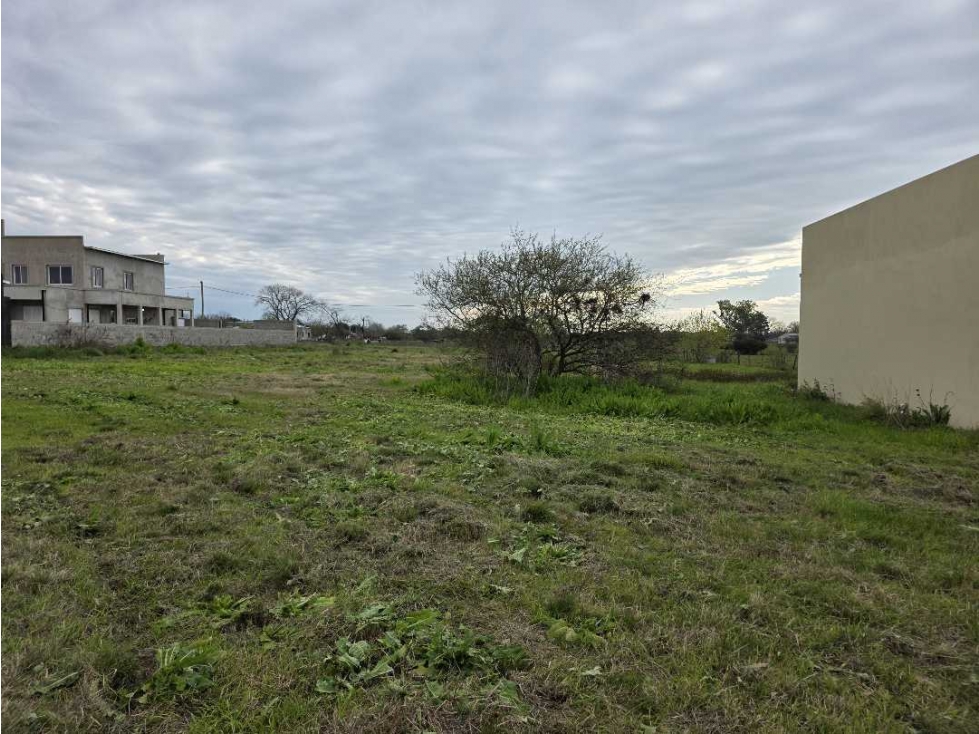 Vendo Terreno de 425 m2 Caseros, Entre Ríos. - 5