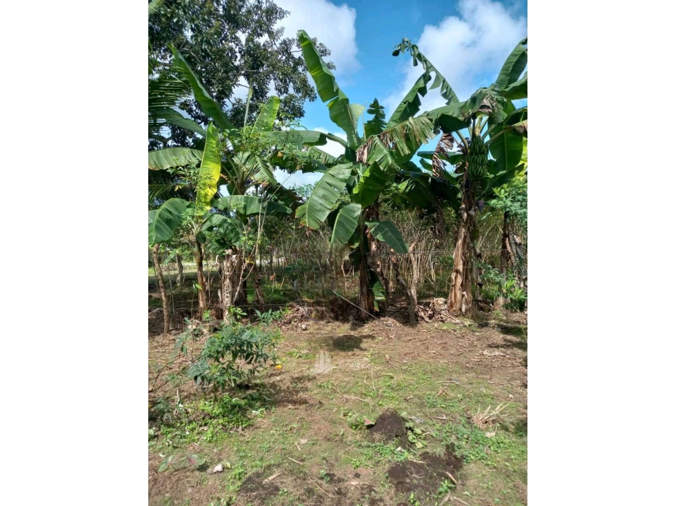 VENDO lote de 410.75mts Alanje El TEJAR - 3
