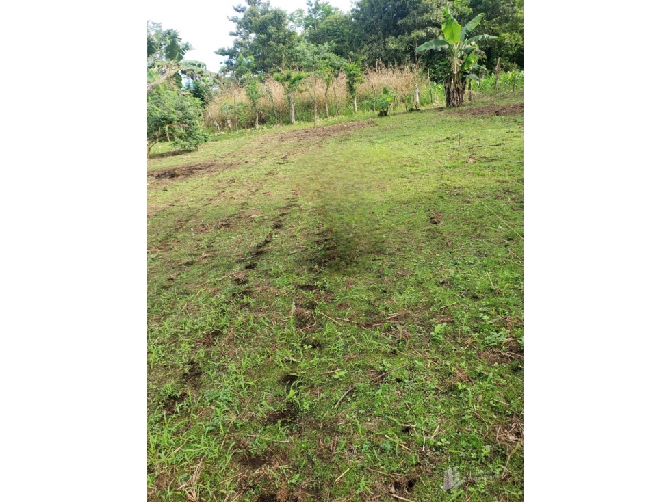 VENDO lote de 410.75mts Alanje El TEJAR - 4