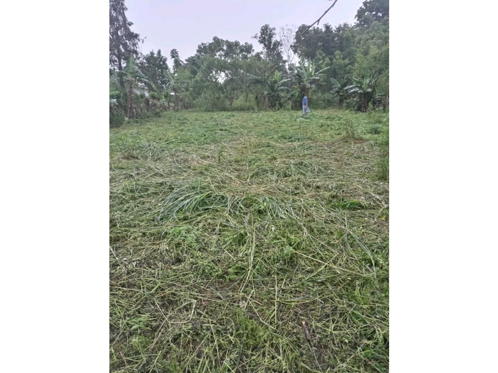 VENDO lote de 410.75mts Alanje El TEJAR - 5
