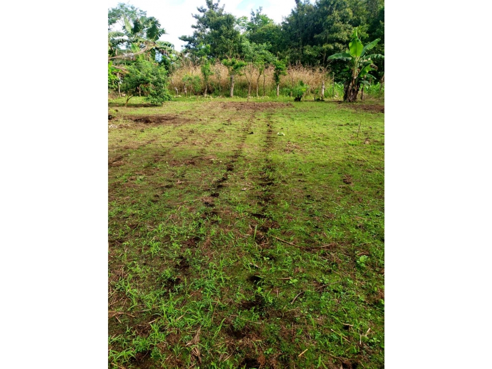 VENDO lote de 410.75mts Alanje El TEJAR - 6
