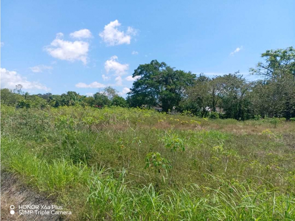 Vendo terreno en Bugaba, para desarrollo residencial o comercial - 1