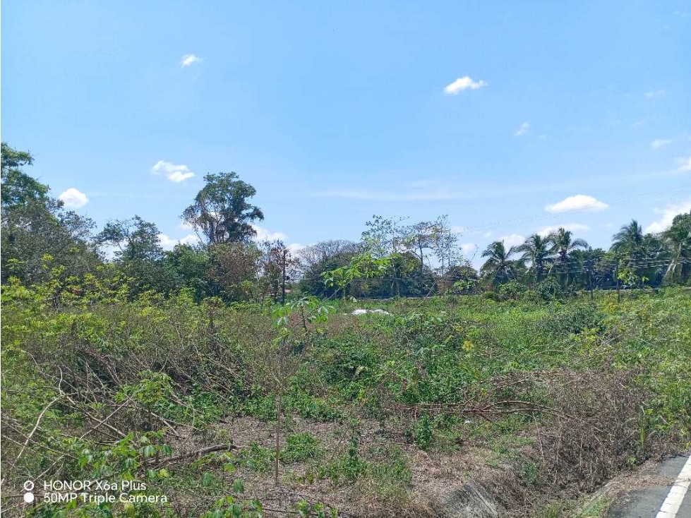 Vendo terreno en Bugaba, para desarrollo residencial o comercial - 2
