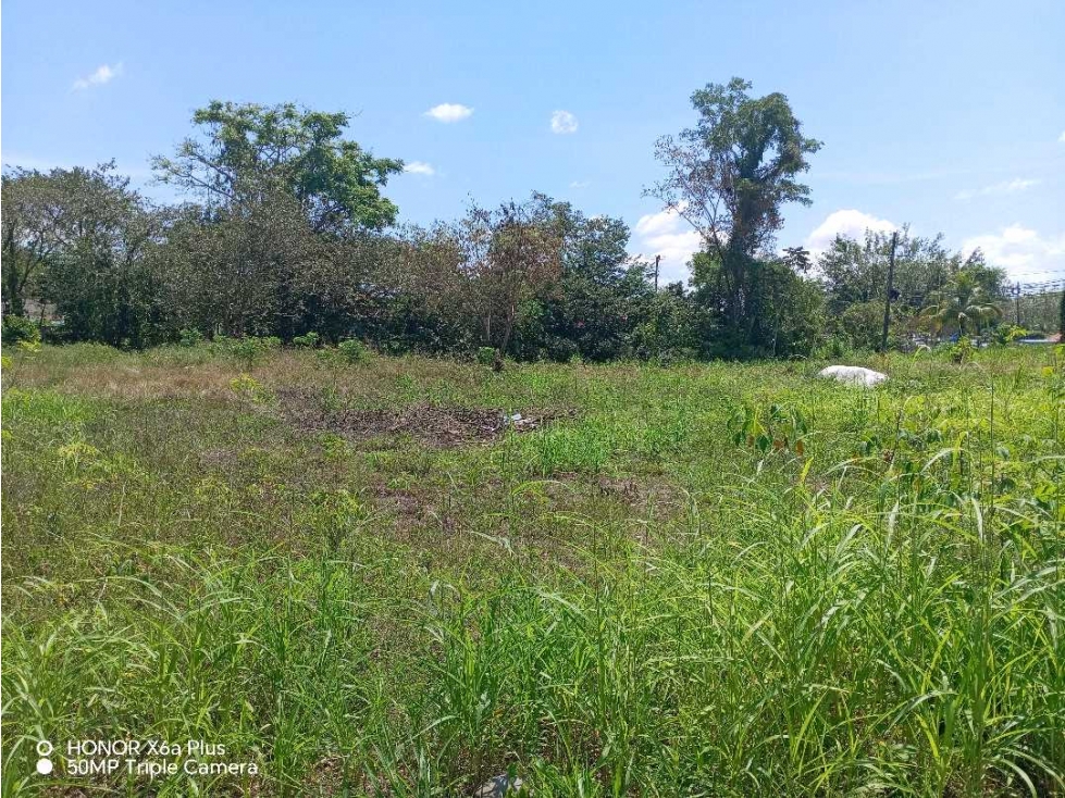 Vendo terreno en Bugaba, para desarrollo residencial o comercial - 3