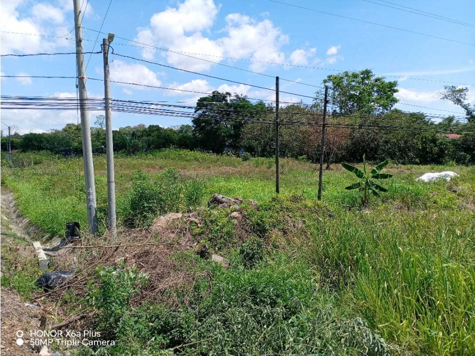 Vendo terreno en Bugaba, para desarrollo residencial o comercial - 4