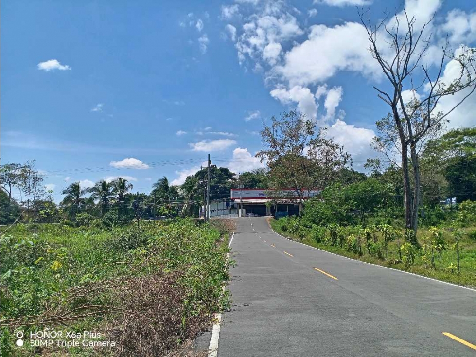 Vendo terreno en Bugaba, para desarrollo residencial o comercial - 5